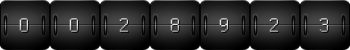 page hit counter